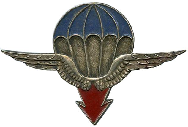 25th Airborne Division (France)