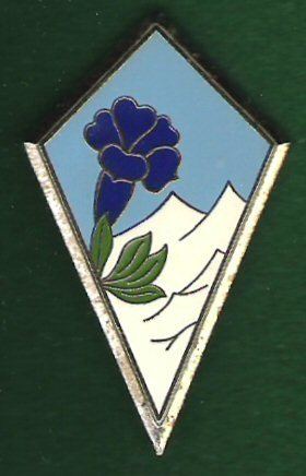 27th Mountain Infantry Brigade (France)