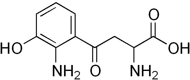 3-Hydroxykynurenine httpsuploadwikimediaorgwikipediacommonsaa