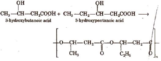 3-Hydroxypentanoic acid CBSE Class 12 Chemistry Notes Polymers