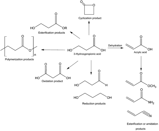 3 Hydroxypropionic Acid Alchetron The Free Social Encyclopedia