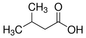 3-Methylbutanoic acid wwwsigmaaldrichcomcontentdamsigmaaldrichstr