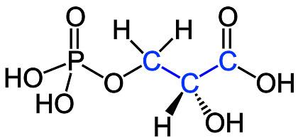 3-Phosphoglyceric acid FileR3Phosphoglyceric acid 3PG Structural Formula V1svg
