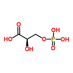 3-Phosphoglyceric acid D3Phosphoglyceric acid C3H7O7P ChemSpider