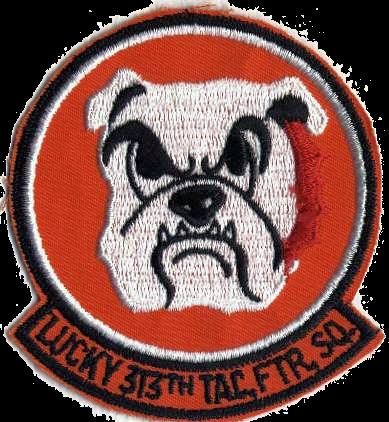 313th Tactical Fighter Squadron