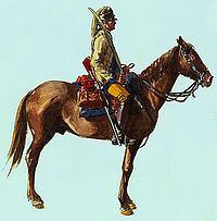 3rd Continental Light Dragoons httpsuploadwikimediaorgwikipediacommonsthu