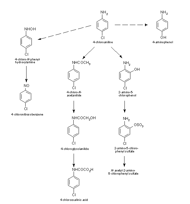4-Chloroaniline 4Chloroaniline CICADS 48 2003