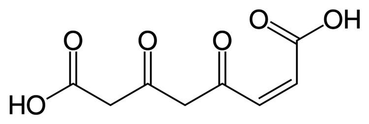 4-Maleylacetoacetic acid httpsuploadwikimediaorgwikipediacommonsdd