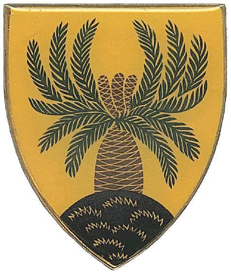 4 South African Infantry Battalion