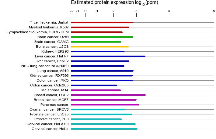 40S ribosomal protein S14 wwwgenecardsorgcdnproteinexpressionproteine
