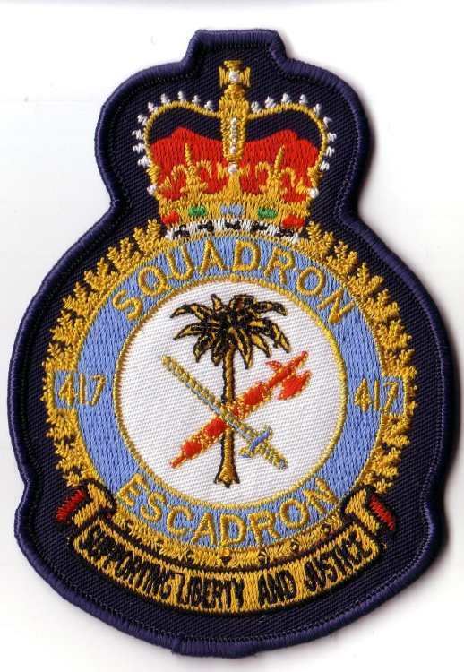 417 Combat Support Squadron