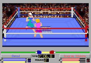 4D Sports Boxing 4D Sports Boxing Wikipedia