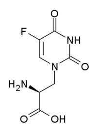 5-Fluorowillardiine httpsuploadwikimediaorgwikipediacommonsthu