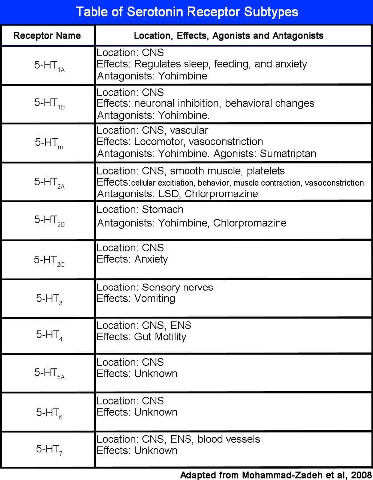 5-HT receptor Serotonin A Isaacson