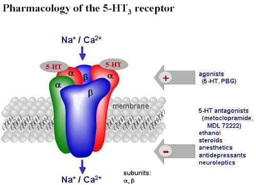 Pharmacology of the 5-HT3 receptor