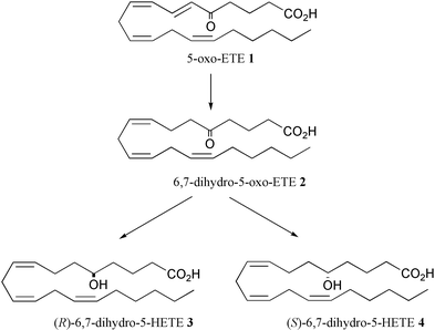 5-Hydroxyeicosatetraenoic acid pubsrscorgservicesimagesRSCpubsePlatformSer