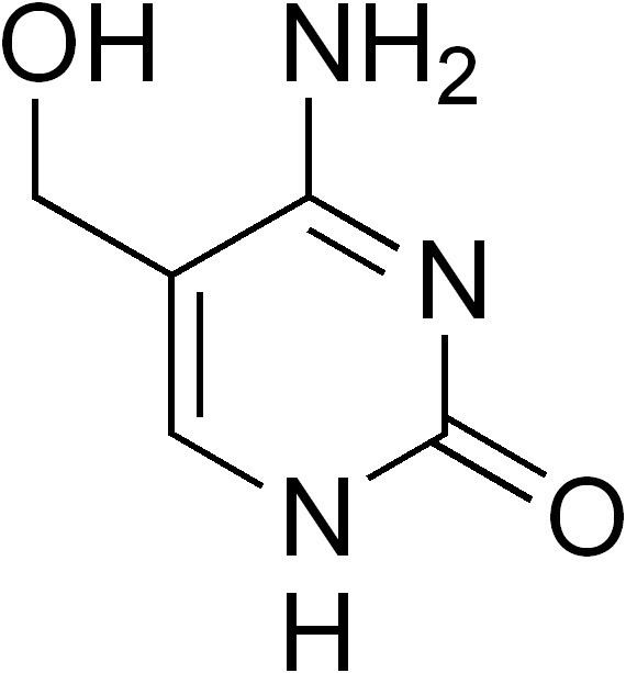 5-Hydroxymethylcytosine 5Hydroxymethylcytosine Wikipedia