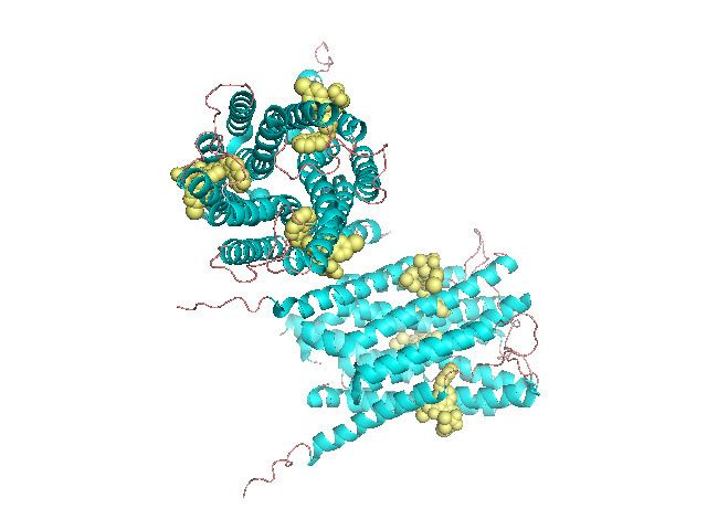 5-lipoxygenase-activating protein