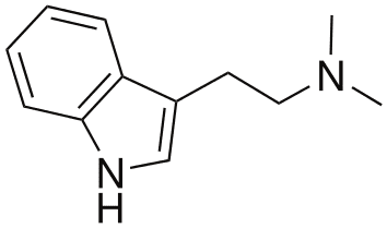 5-MeO-DMT What Is the Difference between 5MeO DMT and DMT Choosing a DMT