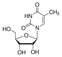 5-Methyluridine wwwsigmaaldrichcomcontentdamsigmaaldrichstr