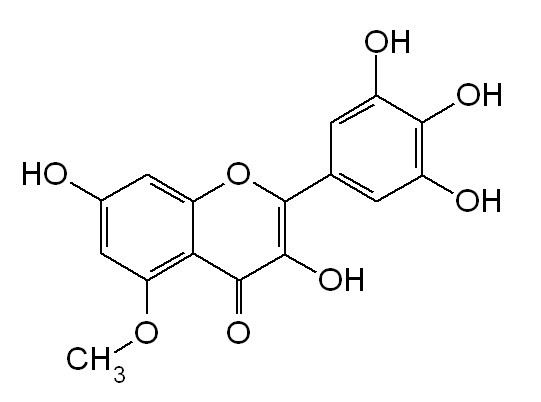 5-O-Methylmyricetin