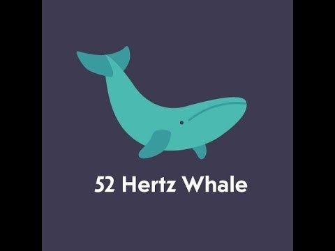 52-hertz whale httpsiytimgcomvi6dHZqdi828Ehqdefaultjpg