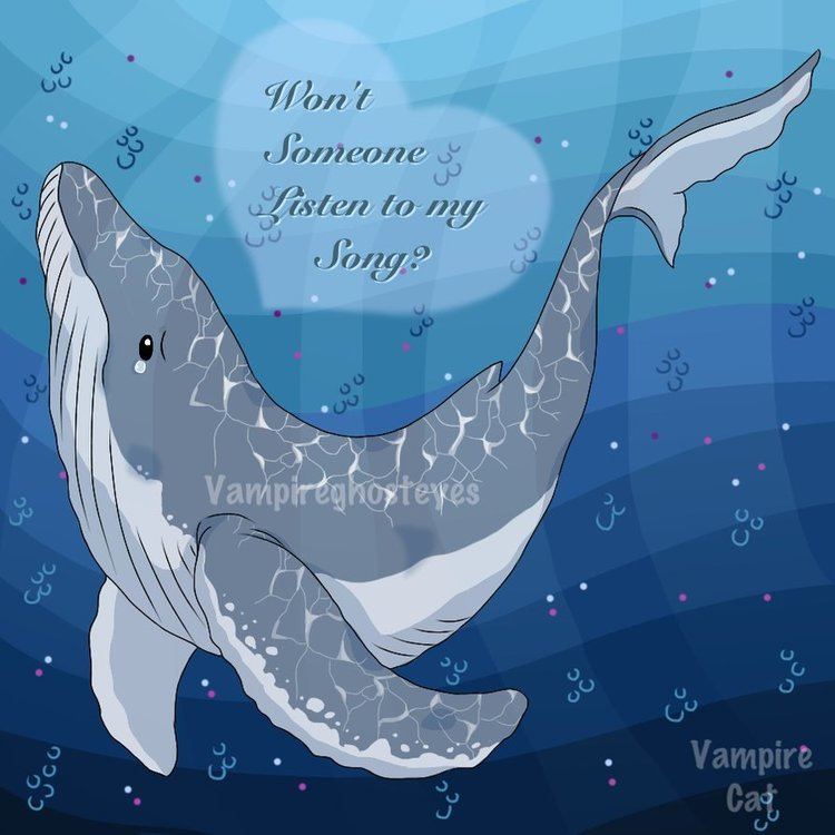 52-hertz whale 52 Hertz Whale by Vampireghosteyesvc on DeviantArt