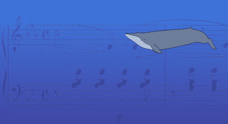 52-hertz whale Understanding the Search for 52 Hertz MIT SciWrite