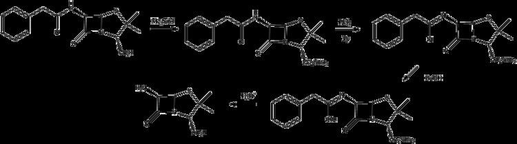 6-APA File6aminopenicillanic acid synthesispng Wikimedia Commons