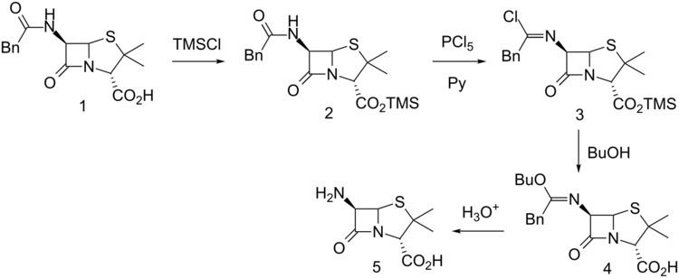 6-APA File6APA synthesissvg Wikimedia Commons