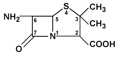 6-APA 123bionet COURS Les diffrentes classes d39antibiotiques