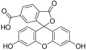 6-Carboxyfluorescein 6Carboxyfluorescein 97 HPLC SigmaAldrich