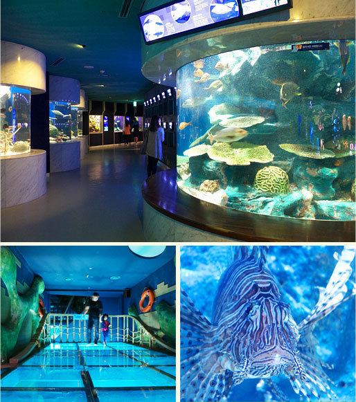 63 Seaworld Kenterin Landmark of Seoul 63 Square