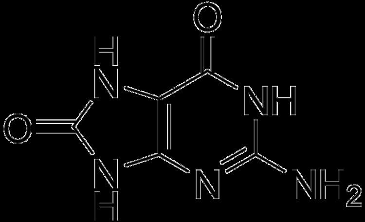 8 Oxoguanine - Alchetron, The Free Social Encyclopedia