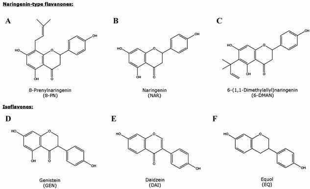 8-Prenylnaringenin Chemical structure of flavonoids A 8prenylnaringenin Figure