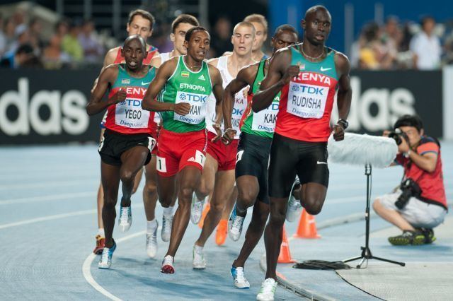800 metres at the World Championships in Athletics