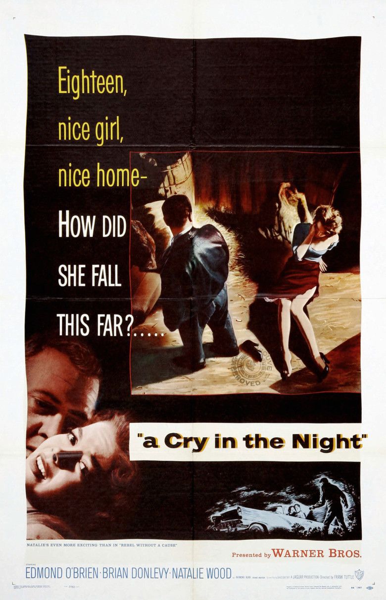 A Cry in the Night (film) movie poster