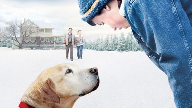 A Dog Named Christmas movie scenes