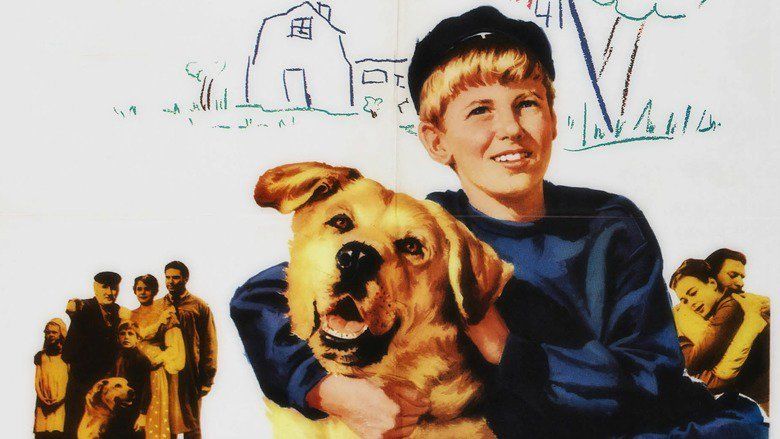 A Dog of Flanders (1960 film) movie scenes