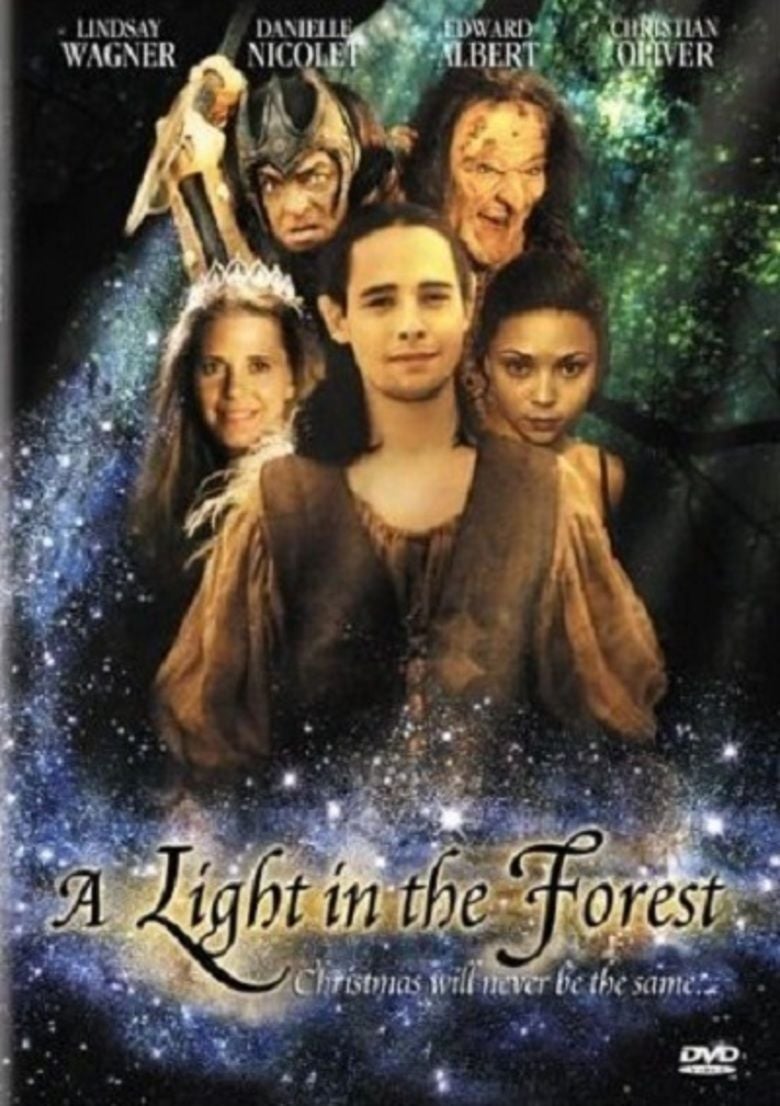 A Light in the Forest movie poster