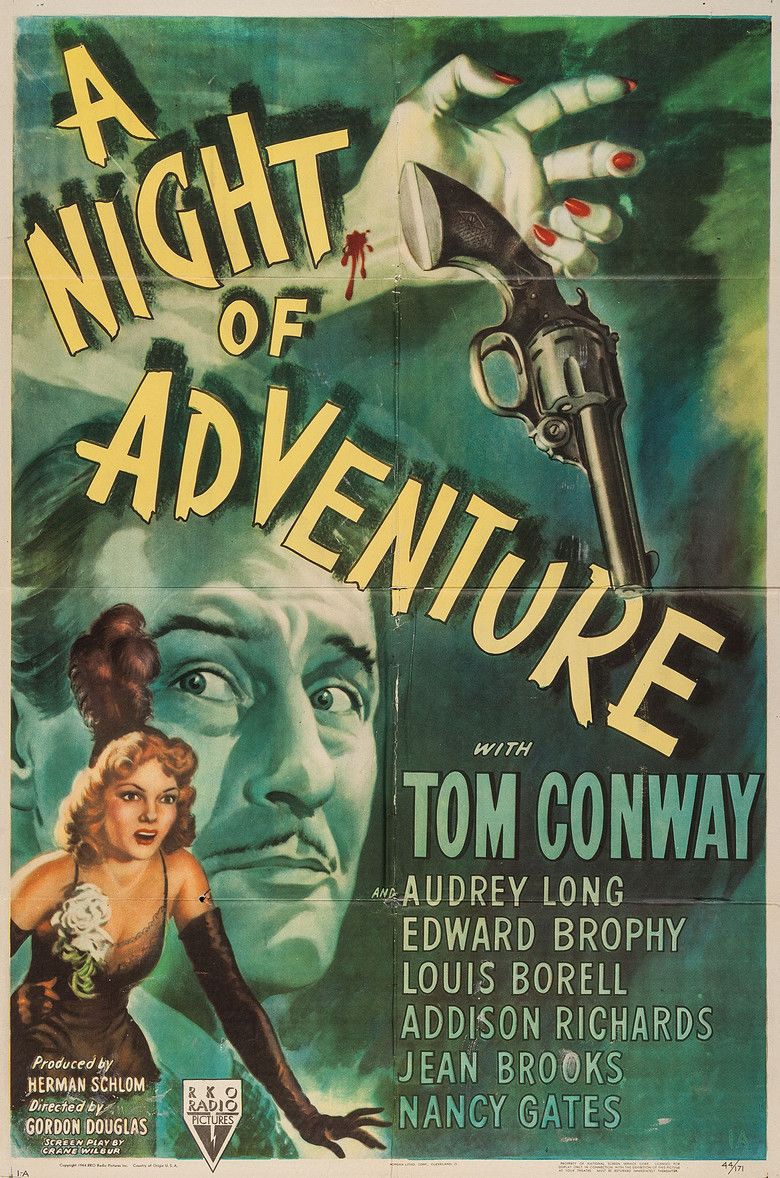 A Night of Adventure movie poster