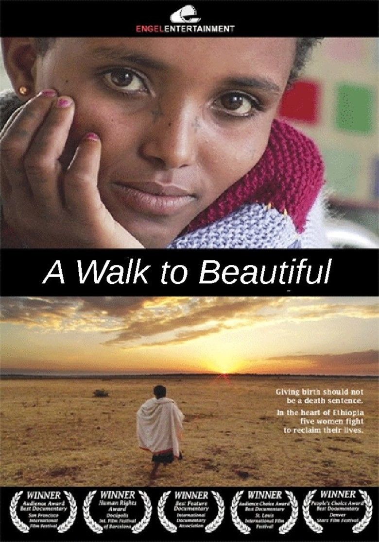 A Walk to Beautiful movie poster