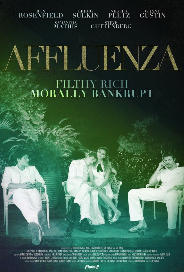 Affluenza (film) movie poster