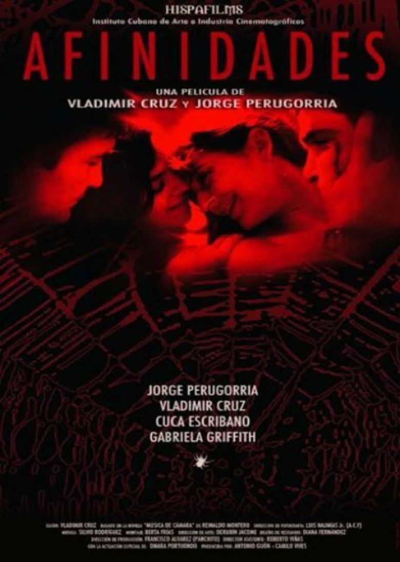 Afinidades (film) movie poster