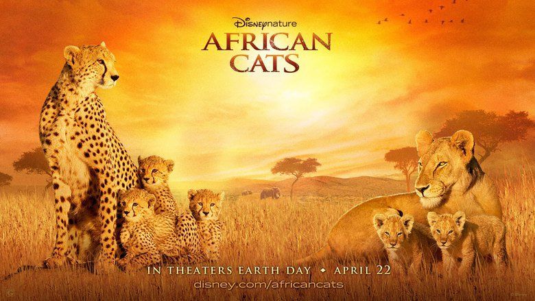 African Cats movie scenes