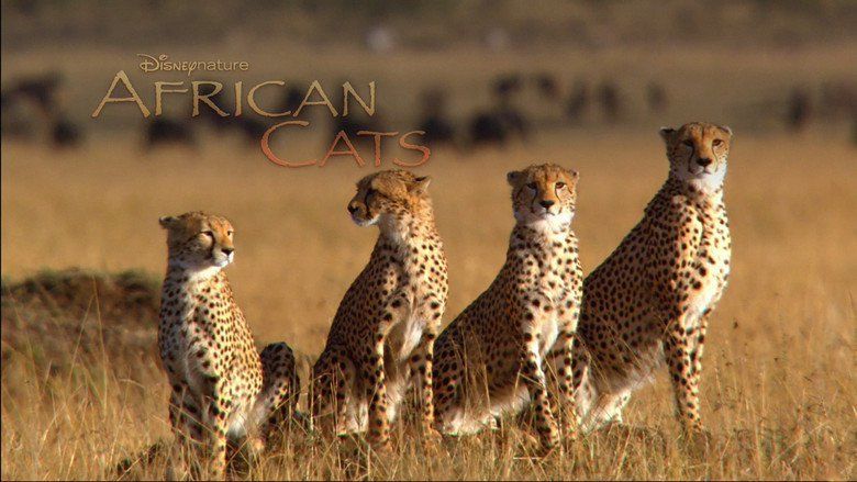 African Cats movie scenes