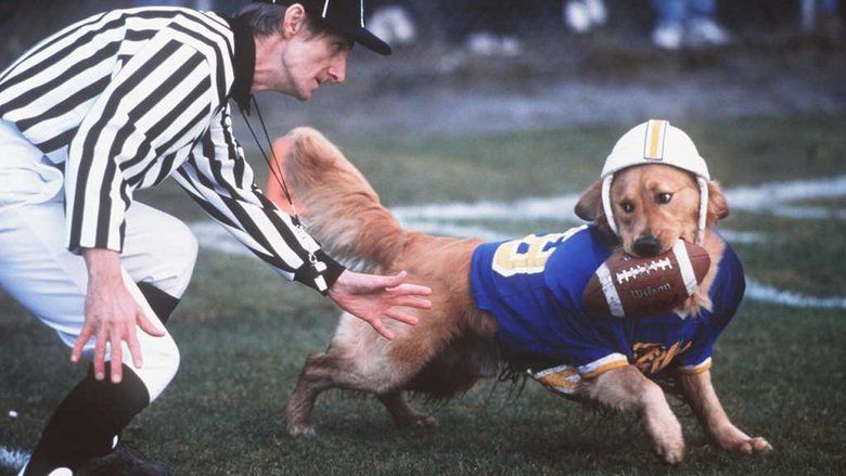 Air Bud: Golden Receiver movie scenes