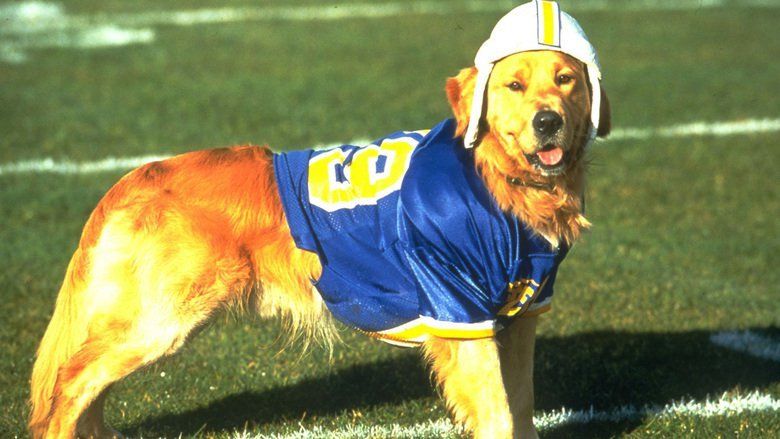 Air Bud: Golden Receiver movie scenes