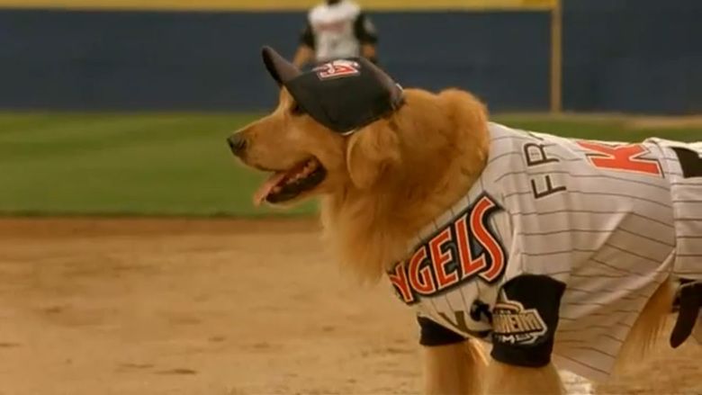 Air Bud: Seventh Inning Fetch movie scenes