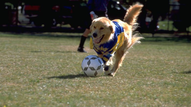 Air Bud: World Pup movie scenes